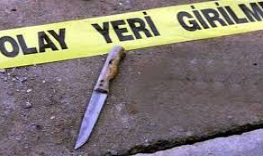 Milas Belediye Parkında Bıçaklı Kavga