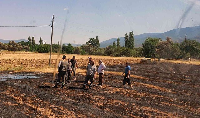 Milas&#039;ta arazi yangını