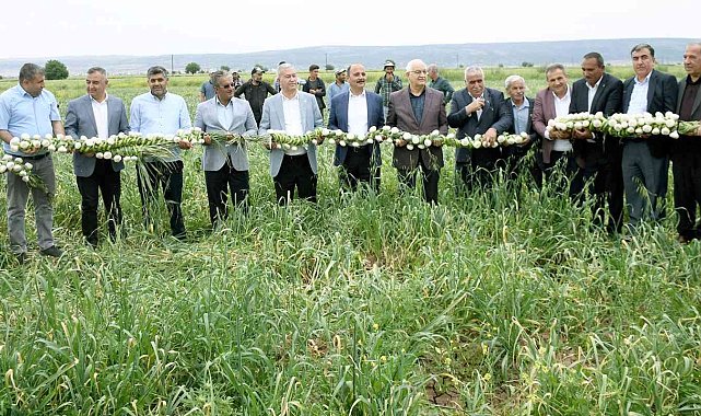 Milletvekili Erdoğan Çiftçiler Gününü tarlada kutladı