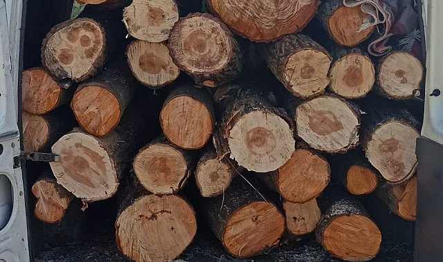 Minibüsle kaçak ağaç sevkiyatına jandarma izin vermedi