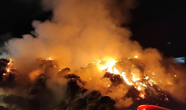 Muğla Milas'ta itfaiye ekipleri faciayı önledi