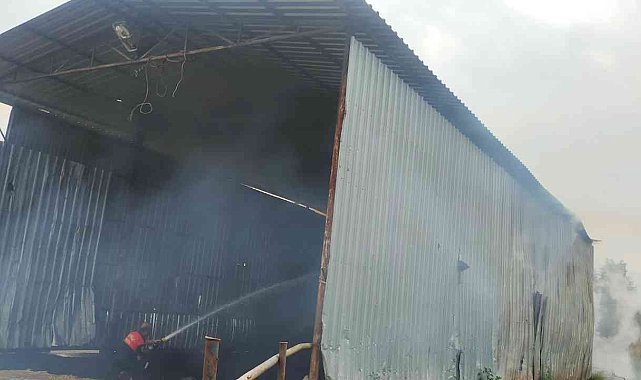 Muğla'da 2 günde 3 ahır yangını