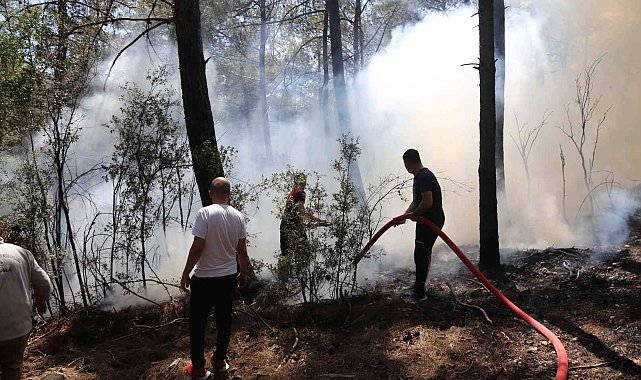 Muğla'da orman yangını