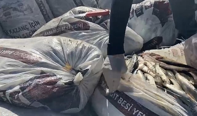 Muradiye&#039;de 2.5 tok kaçak avlanmış inci kefali ele geçirildi