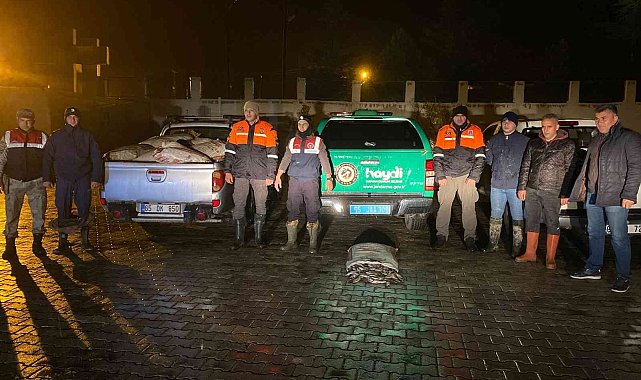 Muradiye'de 3 ton kaçak avlanmış balık ele geçirildi