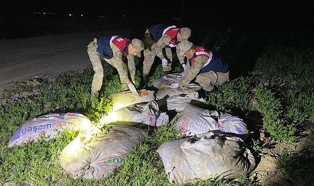 Muradiye'de kaçak avlanmış 6,5 ton balık ele geçirildi