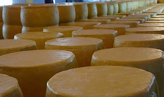 Muş'ta 65 yıllık baba mesleğini sürdüren kardeşler kente yılda 30 milyon lira katkı sağlıyor