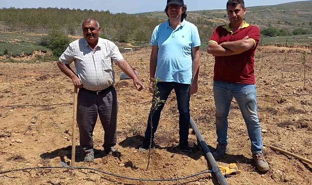 Nazilli'de siyah elma ve mor aronya fidanları toprakla buluştu