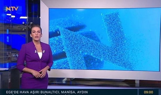 NTV spikeri Özlem Sarıkaya Yurt hayatını kaybetti