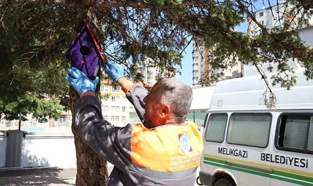 Öğrenciler ve Melikgazi Belediyesi, kuşları yuva sahibi yaptı