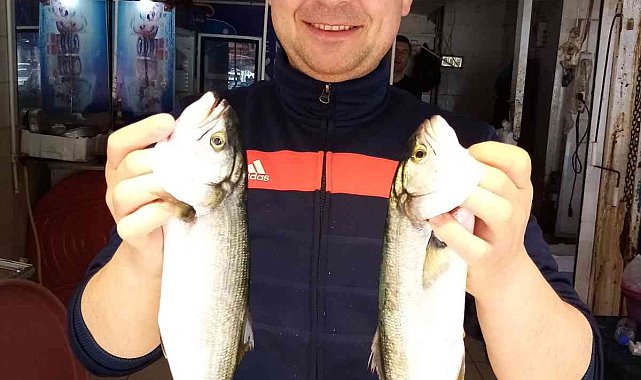 Olta Lüferi balıkçıların yüzünü güldürüyor