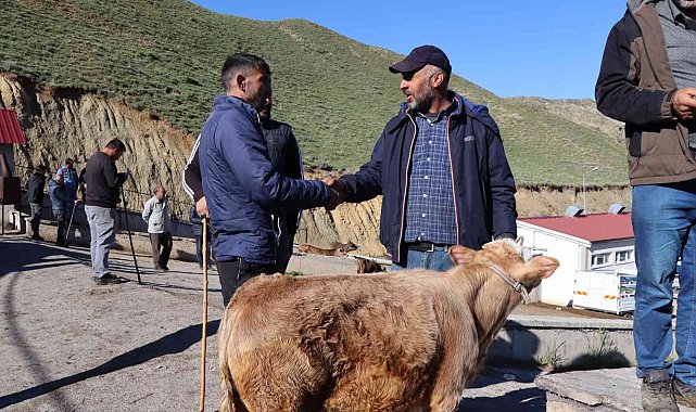 Oltu hayvan pazarında satışlar devam ediyor