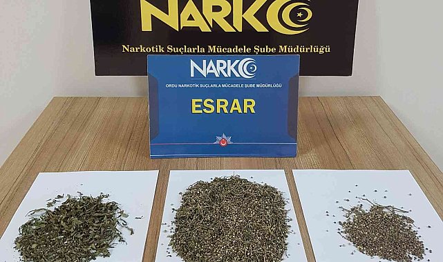 Ordu'da 20 uyuşturucu operasyonu: 7 tutuklama