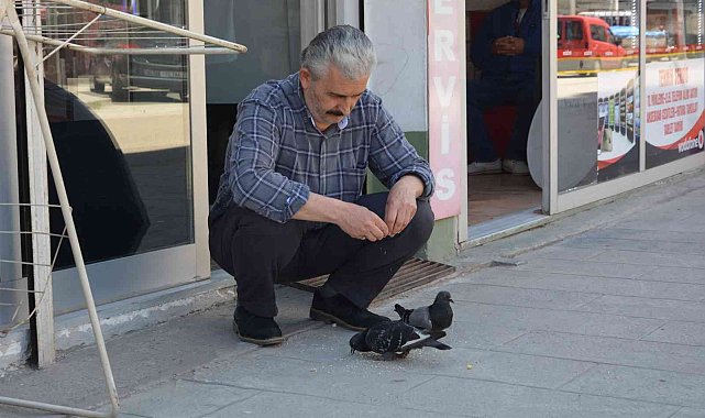 Ordu'da berberin güvercinlerle dostluğu
