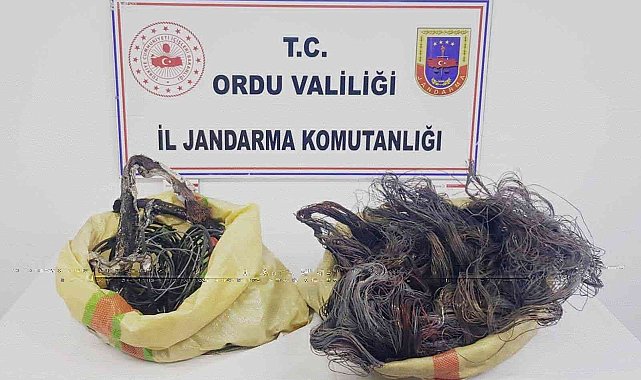 Ordu'da kablo hırsızlığı ve sahte içki üretimi yapan yabancı uyruklu şahıs tutuklandı
