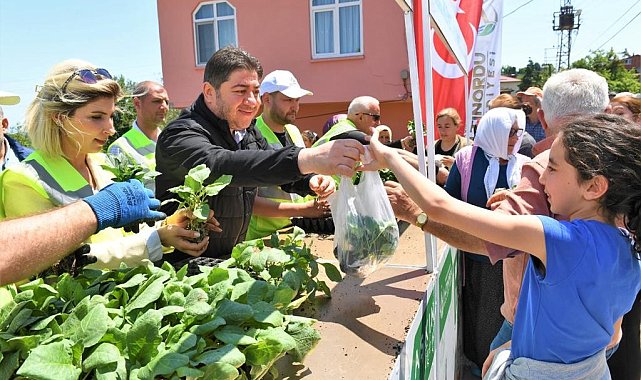 Ordu'da üreticilere 200 bin adet fide desteği