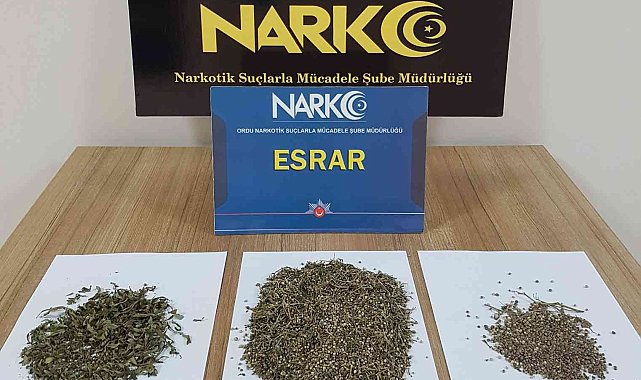 Ordu&#039;da uyuşturucu operasyonunda 12 şüpheli gözaltına alındı