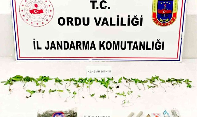 Ordu'da uyuşturucuya izin yok
