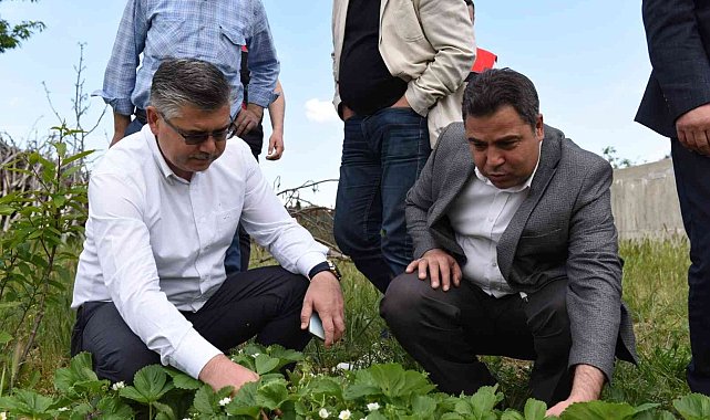 Organik köy, çok yakında Balıkesir&#039;de