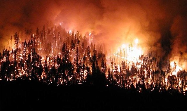 Orman yangınlarına karşı caydırıcı devriye