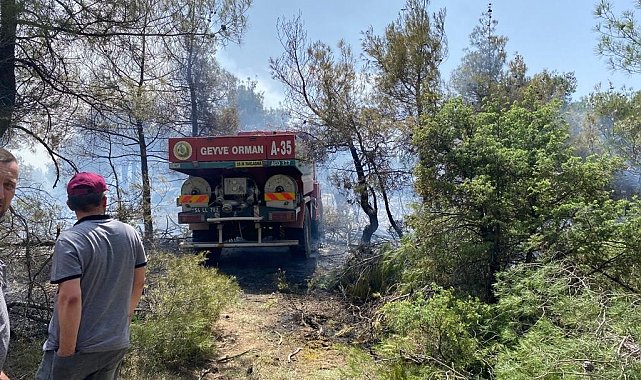 Osmaneli'de orman yangını