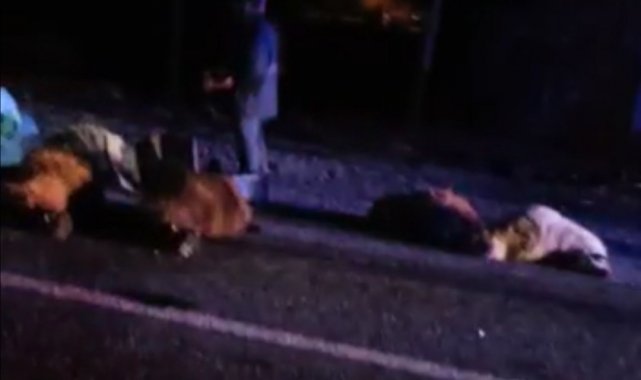 Otomobil koyun sürüsüne çarptı: 14 koyun telef oldu