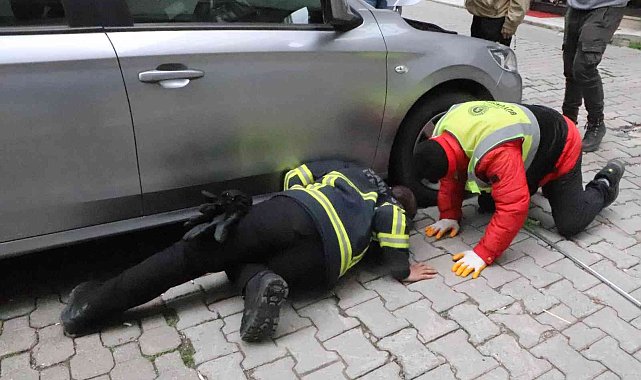 Otomobilin altına giren kediyi itfaiye kurtardı
