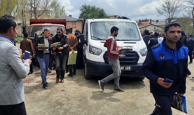 Özalp Belediyesi 30 bin sebze fide dağıttı