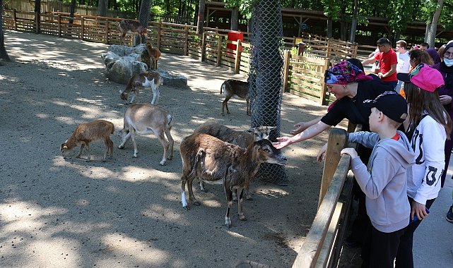 Özel çocuklar Ormanya'yı gezdi