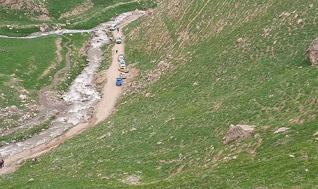 Pancar toplarken düşen kadın hayatını kaybetti