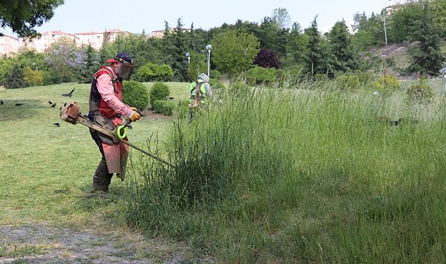 Park bahçeler de yoğun çalışma