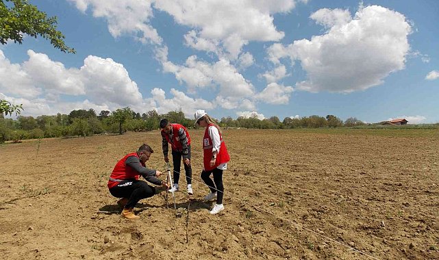 Pazarlar'a deneme amaçlı lavanta dikildi
