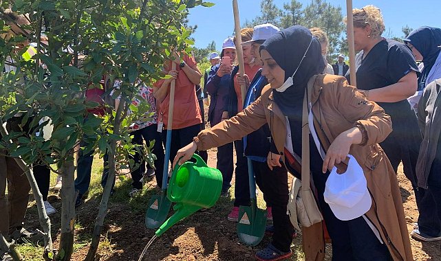 Pendik'te hemşireler 200 fidan dikerek "Koşuyolu Hatıra Ormanı" oluşturdu