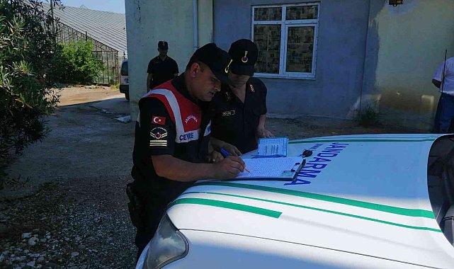 Pitbull cinsi köpeği sokakta ağızlık ve tasmasız gezdiren şahsa 14 bin TL ceza