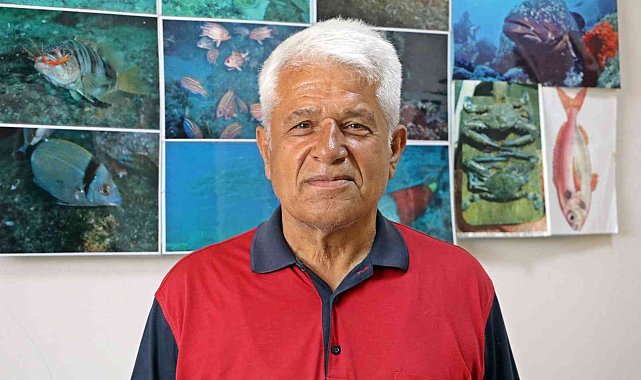 Prof. Dr. Mehmet Gökoğlu: "Yunusların teknelerle yarışı kaybedince intihar ettiği inancı yanlış"