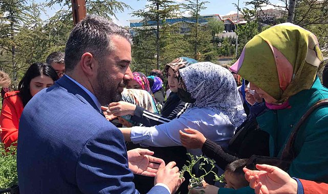 Pursaklar'da yaklaşık 20 bin fide dağıtıldı