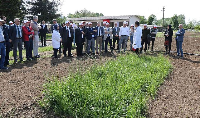 &quot;Samsun, 3-5 yıl içerisinde yem bitkilerinde ülke genelinde söz sahibi olacak&quot;
