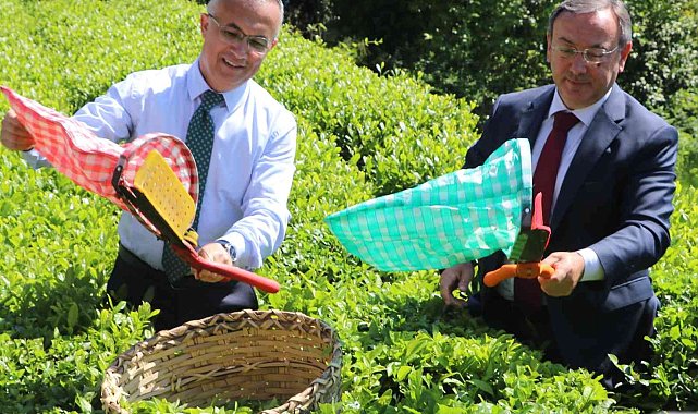 Rize protokolü çay bahçesine girdi