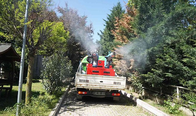 Robotik kodlama kollu araçla vektörle mücadele