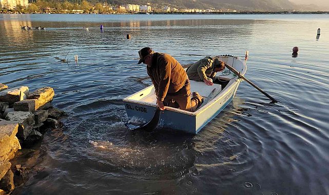 Sahile vuran yavru yunus balığı, kayıkla denize bırakıldı