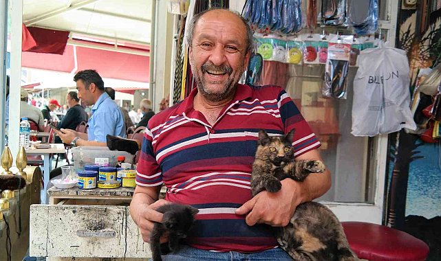 Sahipsiz kedilere boyacı Nevzat sahip çıktı