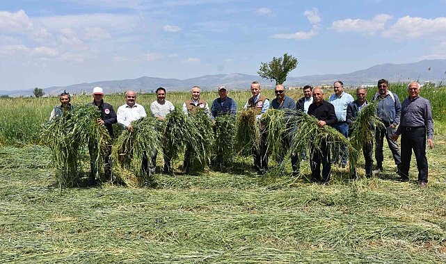 Salihli'de yem bitkisi hasadı gerçekleştirildi