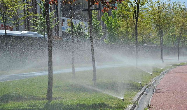 Samsun'da sivrisineklere karşı etkin mücadele başlatıldı