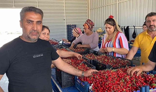 Sancaklıbozköy Kiraz Pazarı yüz güldürüyor