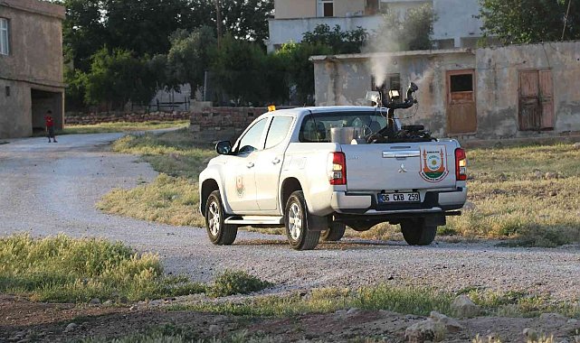 Şanlıurfa'da ilaçlama seferberliği
