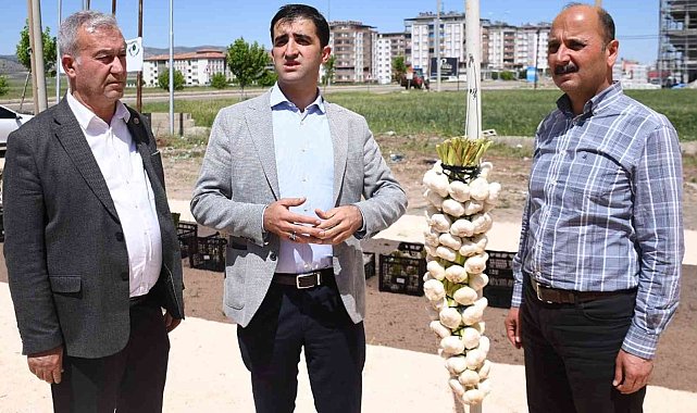 Sarımsak ve firik üreticileri altın için yarıştı