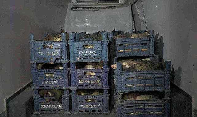 Sazan kaçakçısı Kayseri'de yakalandı