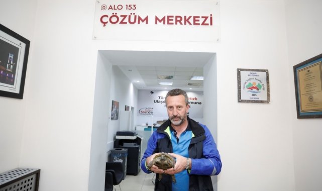 Şehir trafiğinde mahsur kalan kaplumbağaya belediye sahip çıktı