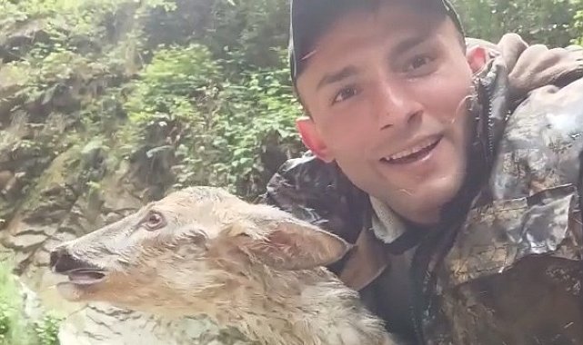 Şelalede mahsur kalan karacayı vatandaş kurtardı