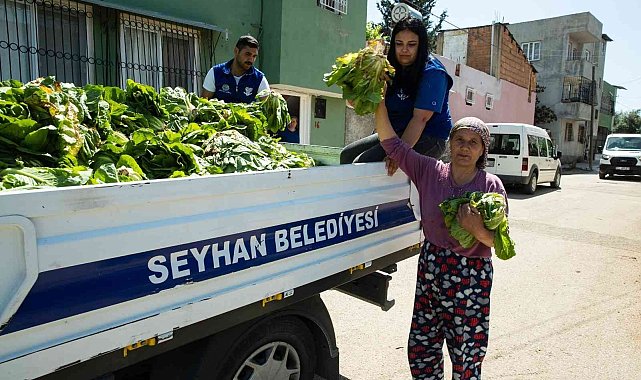 Seyhan Belediyesi ürettiği marulları halka dağıttı